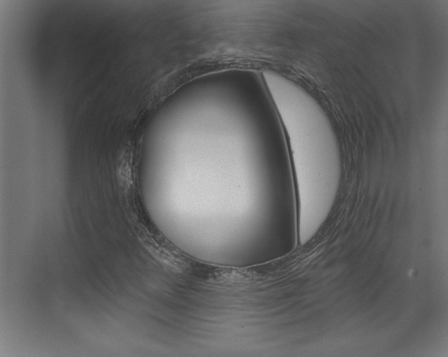 X0000072961348200607210954