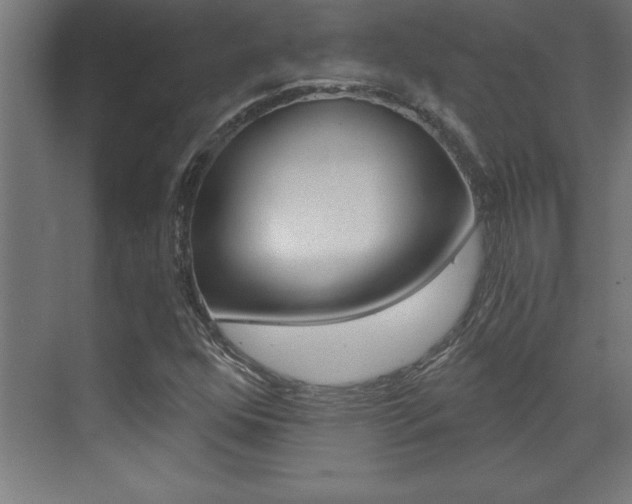 X0000072961352200607210954