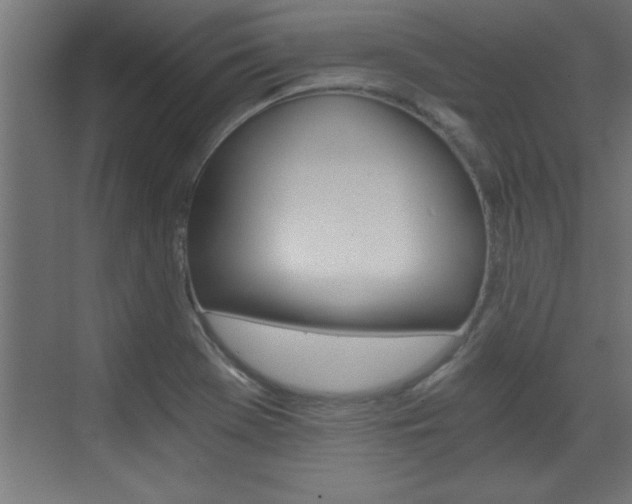X0000072961369200607210954