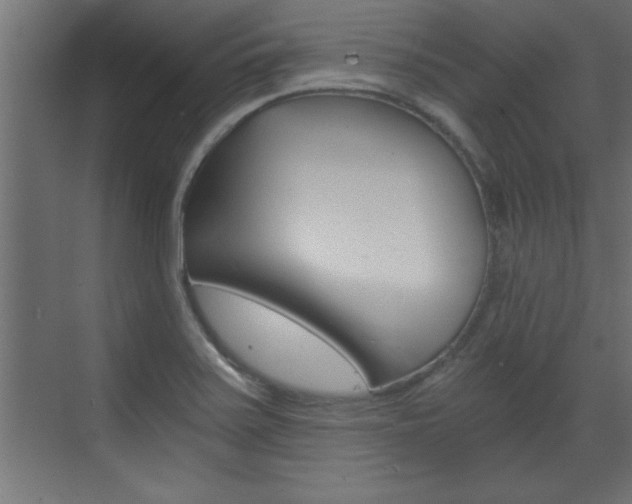 X0000072961371200607210953