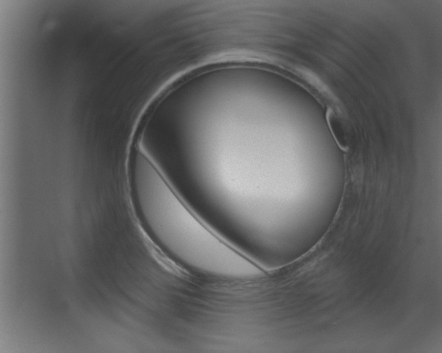 X0000072961372200607210953