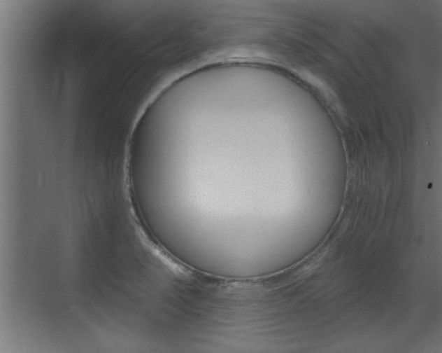 X0000072961374200607210953