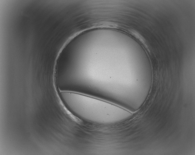 X0000072961379200607210953