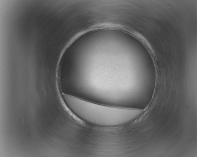 X0000072961381200607210953