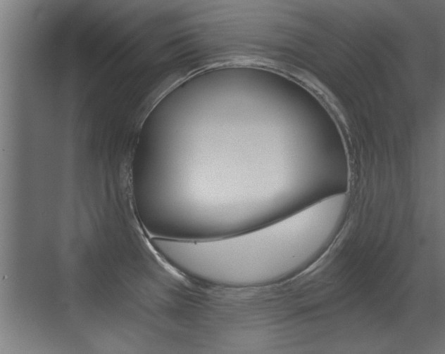 X0000072961385200607210953