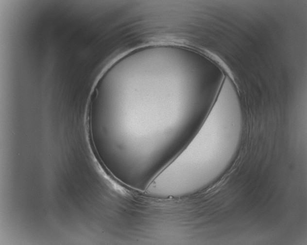 X0000072961387200607210953
