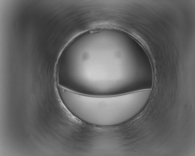 X0000072961392200607210953