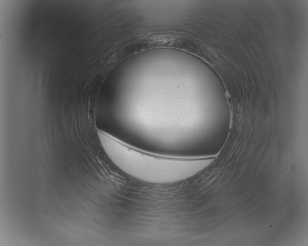 X0000072961394200607210952