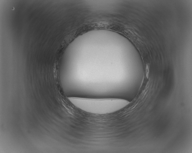 X0000072961395200607210952