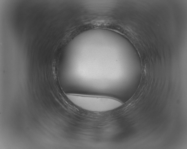 X0000072961396200607210952