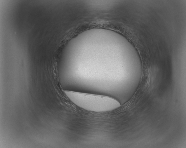 X0000072961397200607210952