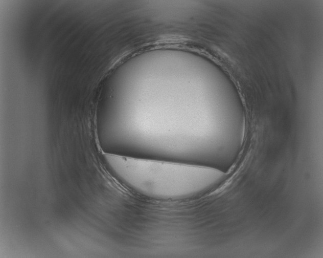 X0000072961401200607210952