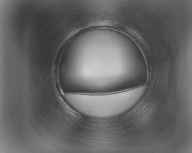 X0000072961404200607210953