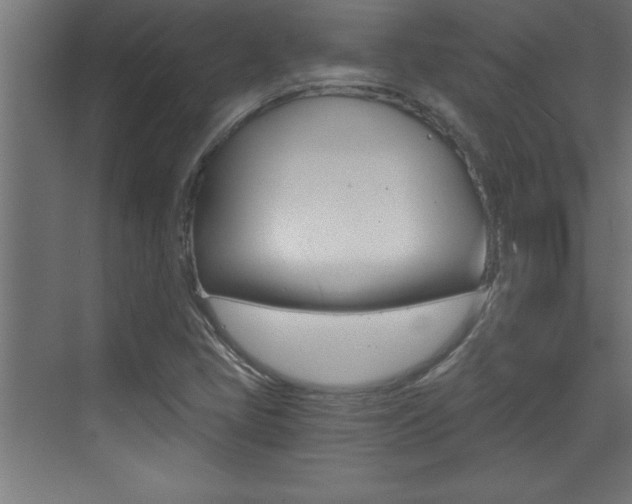 X0000072961405200607210953