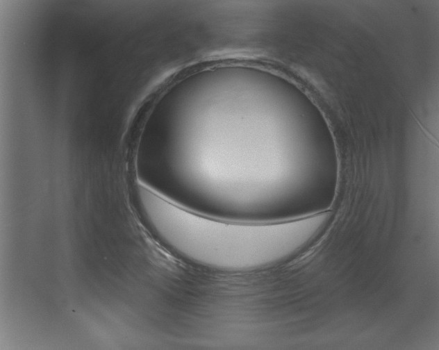 X0000072961406200607210953