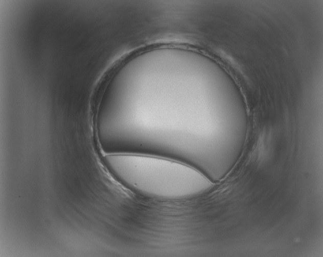 X0000072961408200607210953