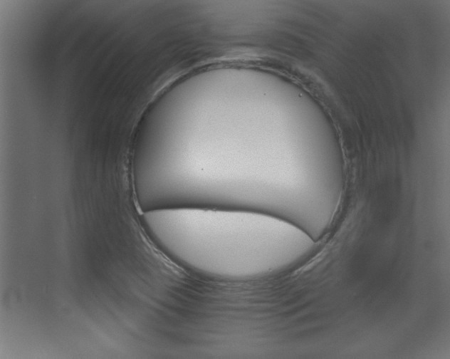 X0000072961409200607210953