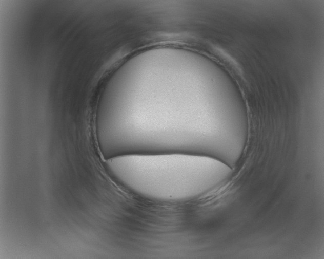 X0000072961411200607210953