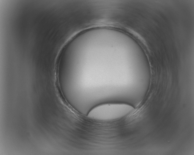 X0000072961415200607210953