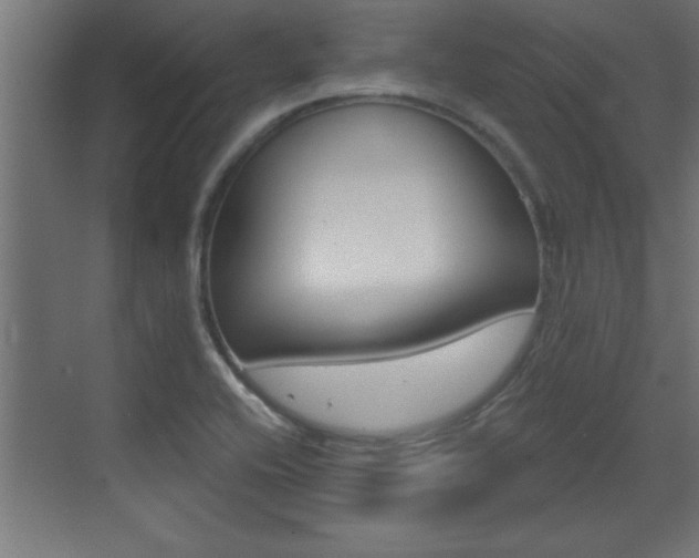 X0000072961416200607210953