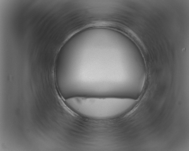 X0000072961417200607210953