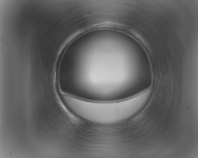 X0000072961418200607210953