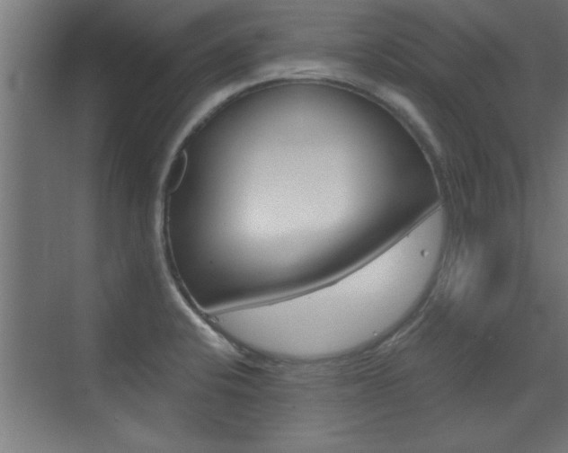 X0000072961424200607210953