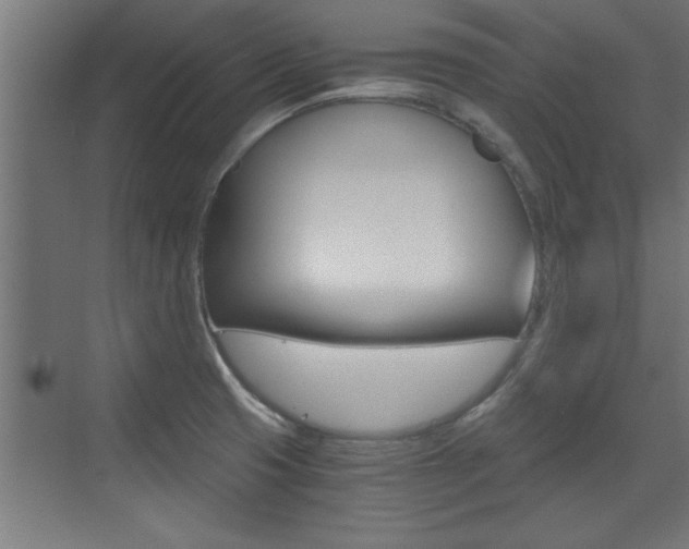 X0000072961425200607210953