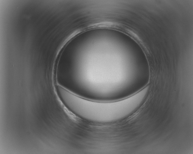 X0000072961426200607210953
