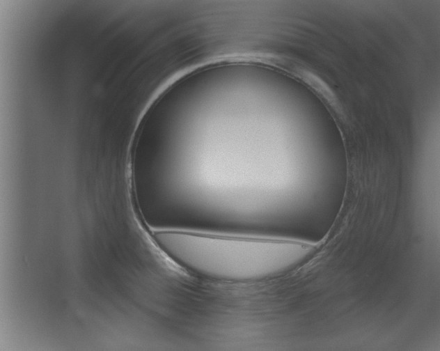 X0000072961428200607210953