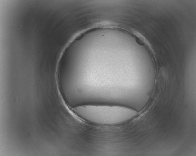 X0000072961429200607210953