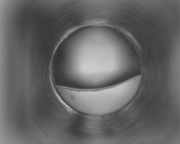 X0000072961432200607210953
