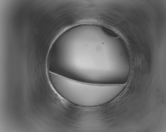 X0000072961440200607210953