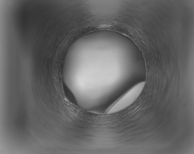 X0000072961441200607210952