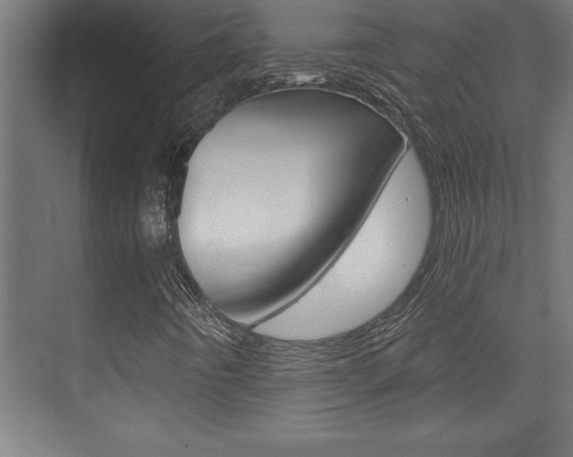 X0000072961442200607210952