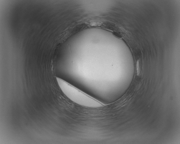 X0000072961443200607210952