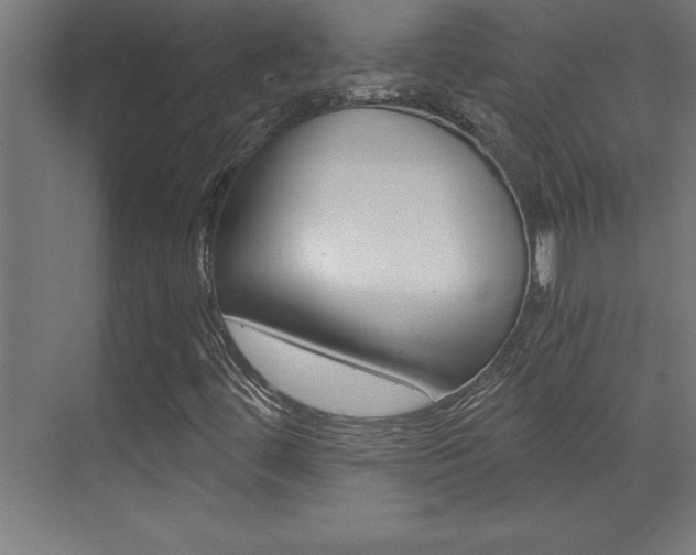 X0000072961444200607210952