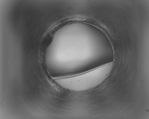 X0000072961448200607210952