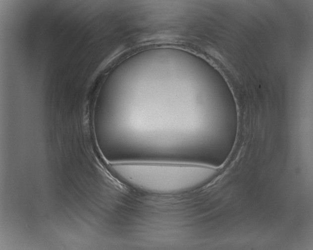 X0000072961450200607210952