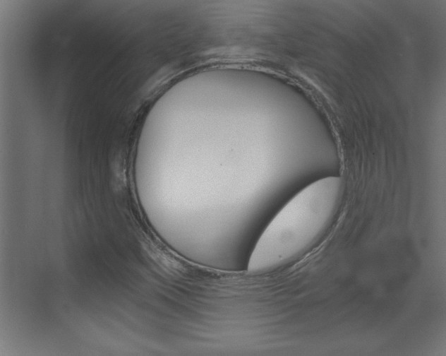 X0000072961451200607210952