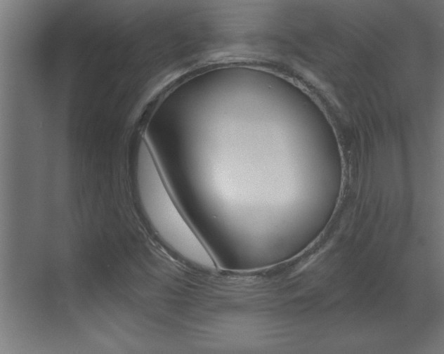 X0000072961453200607210952