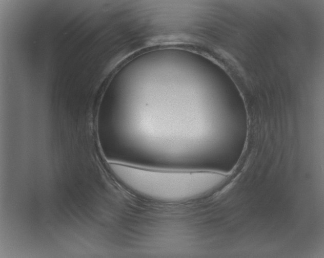 X0000072961457200607210952