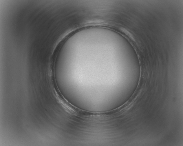 X0000072961458200607210952