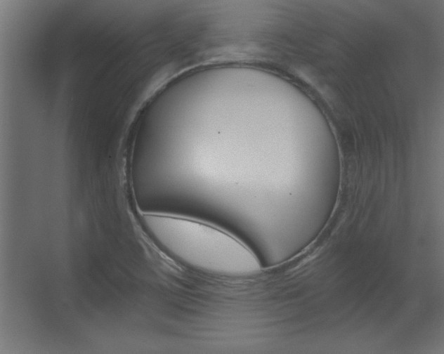 X0000072961459200607210952