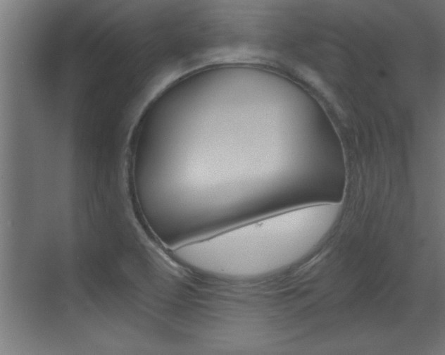 X0000072961463200607210952