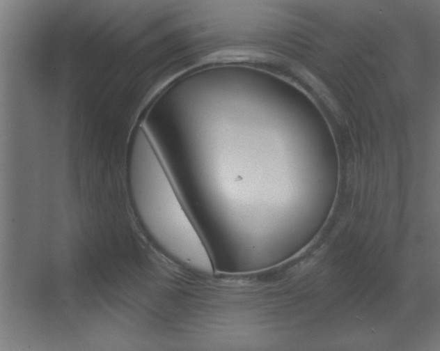 X0000072961465200607210952