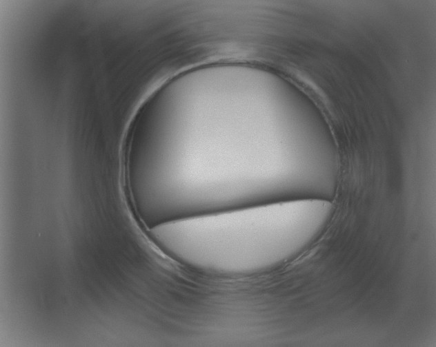X0000072961467200607210952