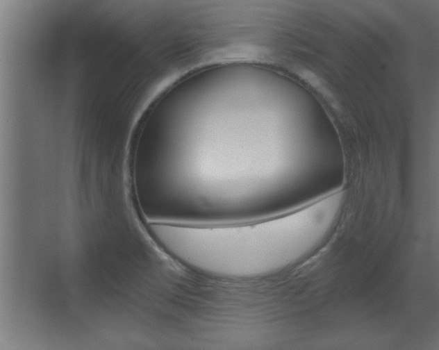 X0000072961469200607210952