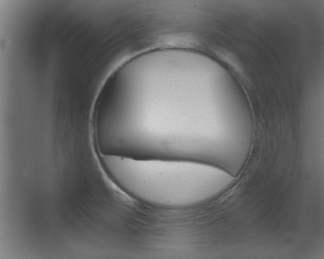 X0000072961471200607210952