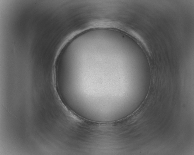 X0000072961472200607210952